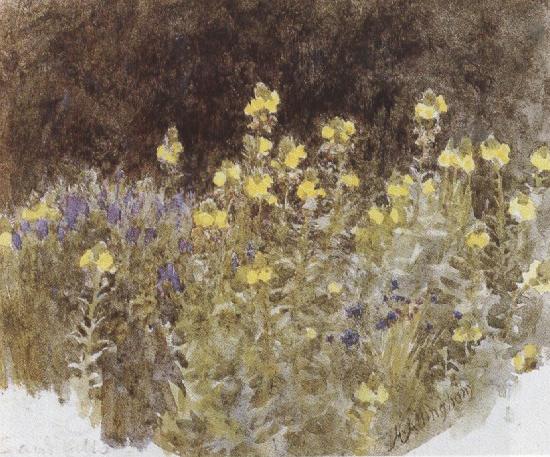 Helen Allingham,R.W.S Studies of Flowers (mk37)